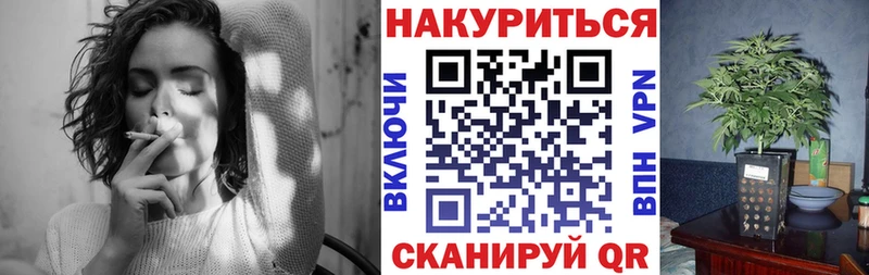 Бошки Шишки планчик  Вязники 